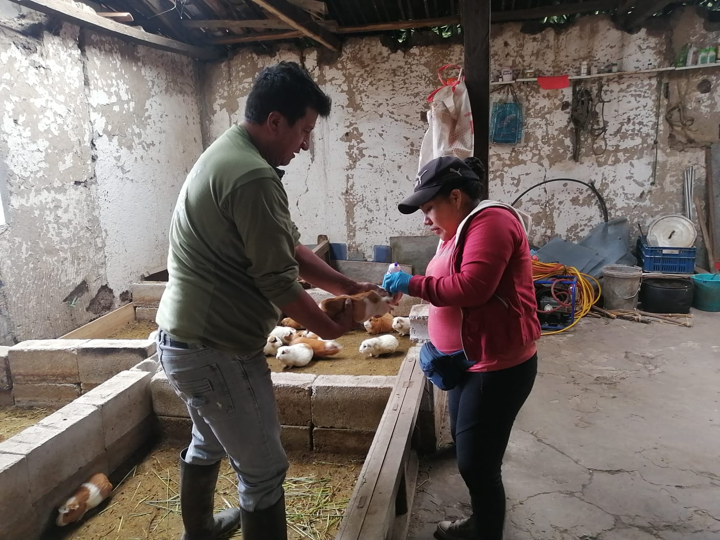 Comunidad unida