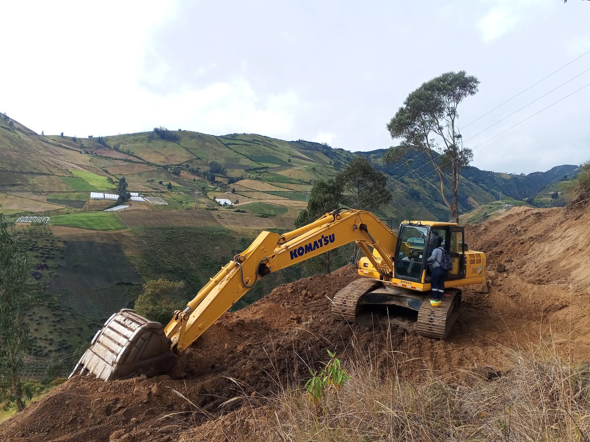 Preparación del terreno
